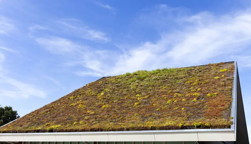 Sustainable extensive green roof 
