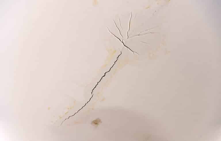 Types of Ceiling Cracks (Guide & What to Look For)