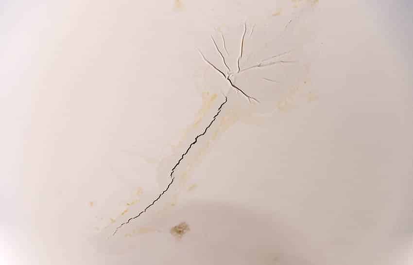 Water damage ceiling crack with discoloration