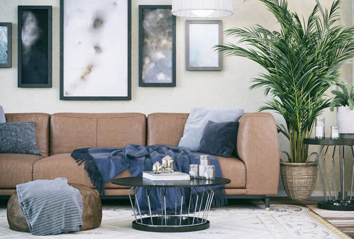 Leather vs Fabric Sofa: Which Is Better For Your Room?