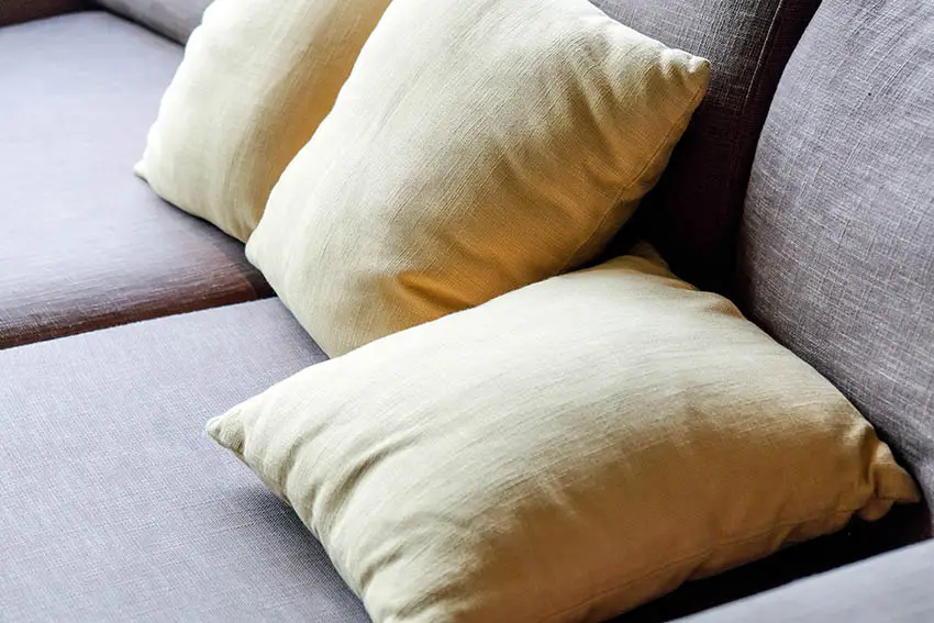 Cotton fabric sofa