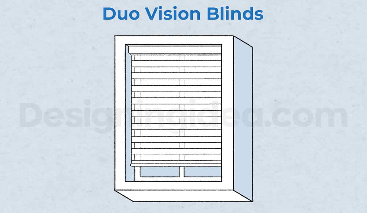 Duo-vision