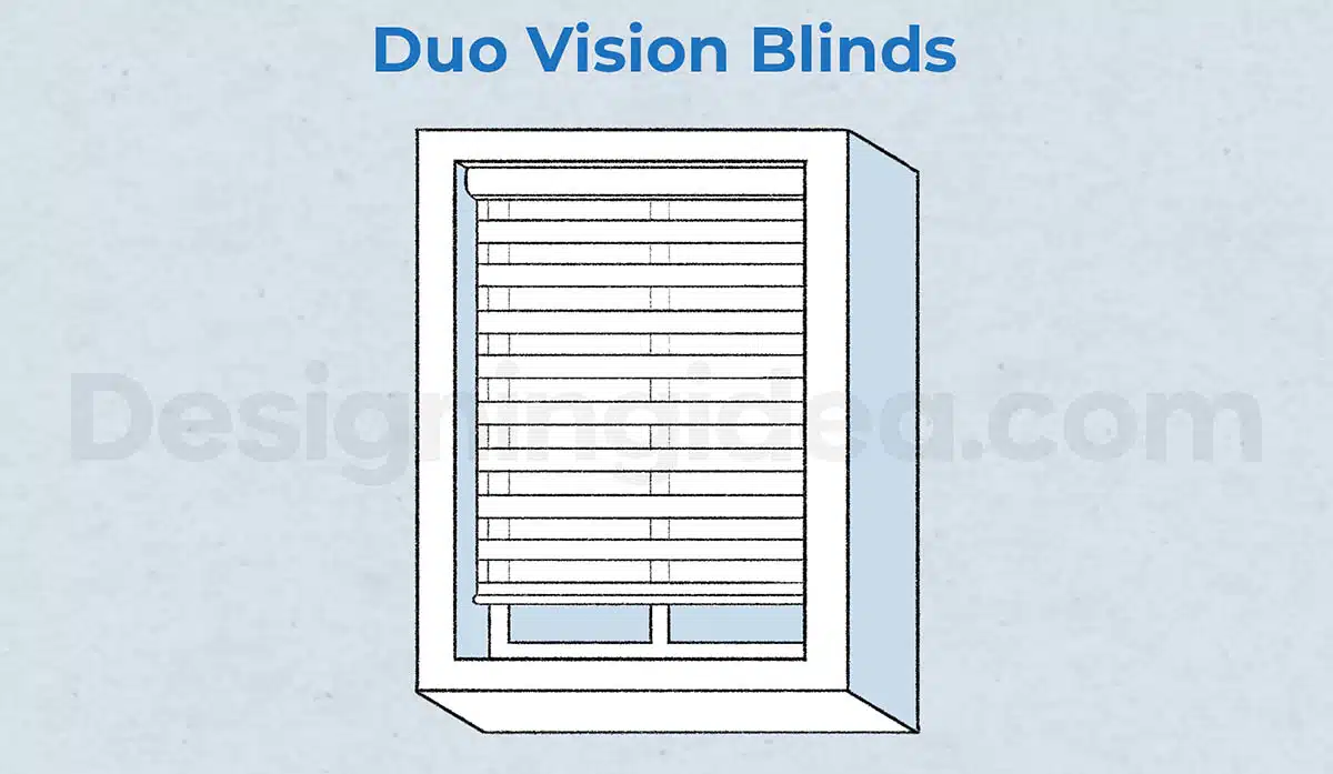Duo-vision