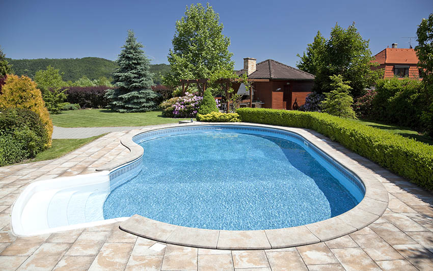 Backyard swimming pool with rounded design low steps concrete deck