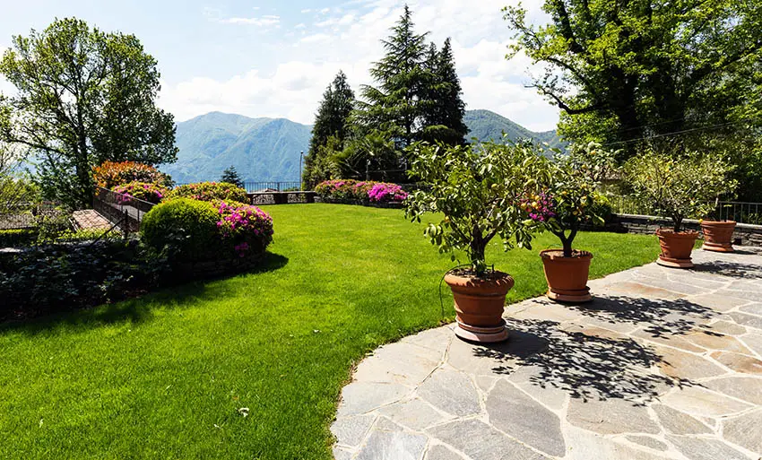 Fieldstone pattern bluestone patio design with potted plants grass border