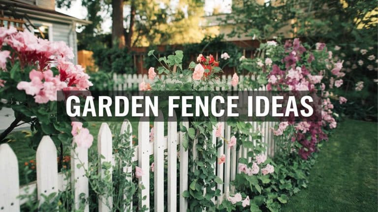 39 Best Garden Fence Ideas (Design Pictures)