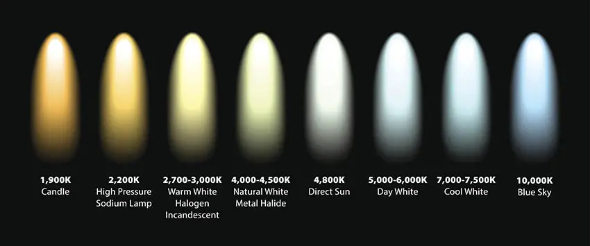 Light bulb kelvin color temperatures