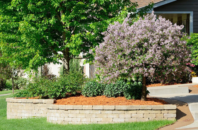 grass clippings as mulch pros and cons