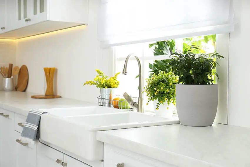 Kitchen with direct sun houseplants in window