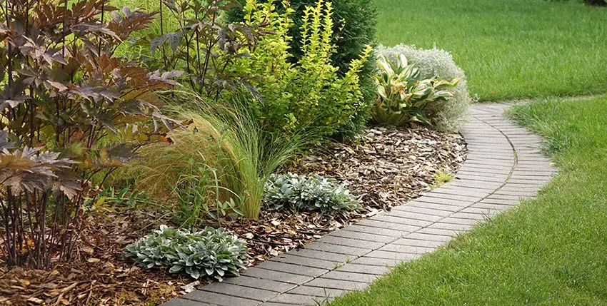 Landscaping with mulch around plants shrubs