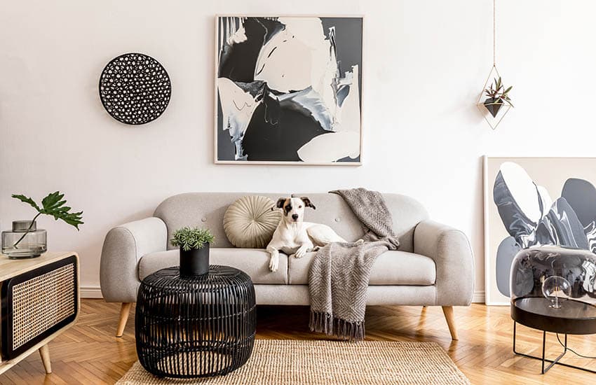 Living room with polyester sofa wood flooring