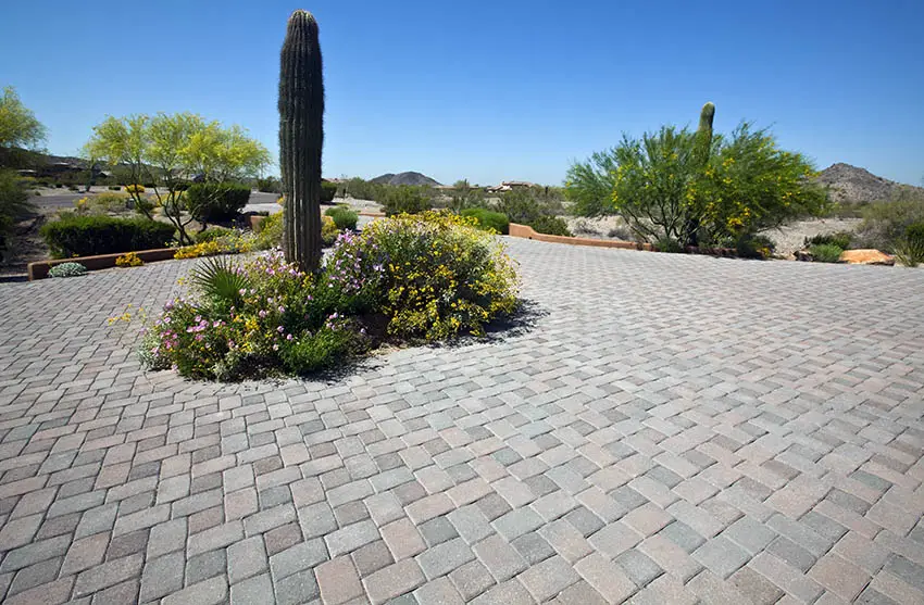 Paver patio with desert landscaping