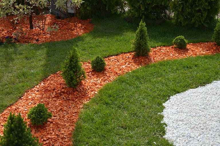 Wood Chip Mulch Pros and Cons