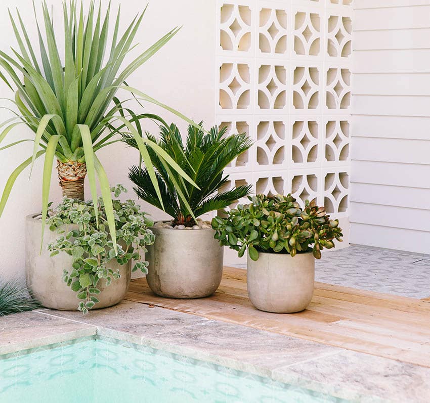 Shaded patio with potted palm trees