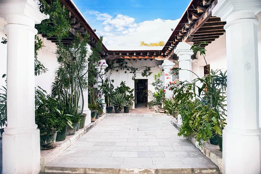 Shady courtyard patio with potted palm trees