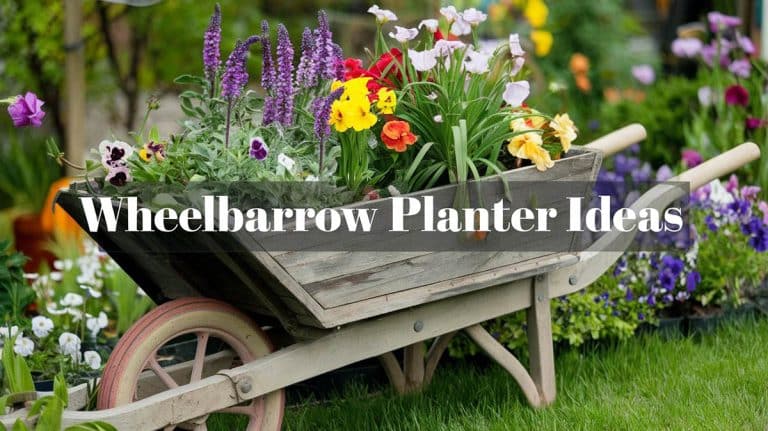Lovely Wheelbarrow Planter Ideas (Garden & Yard Pictures)