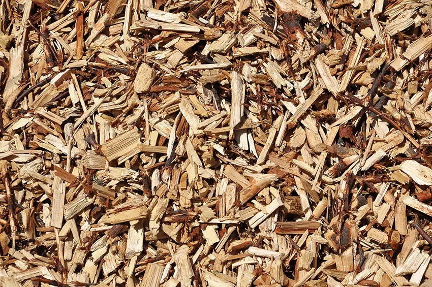 Wood mulch pile