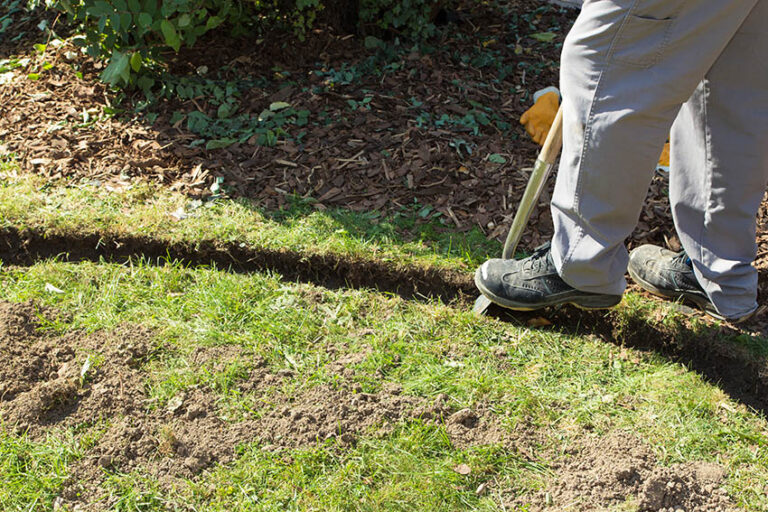 Wooden Garden Edging (11 Landscaping Design Ideas)