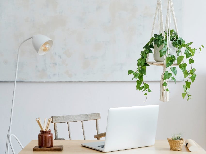 Stylish and boho home office video conference background with wooden desk laptop white lamp macrame shelf and desk supplies and hanging plant