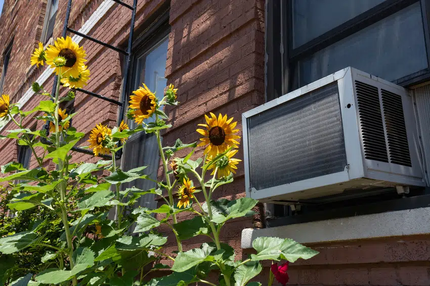 Window unit air conditioner in sunny New York
