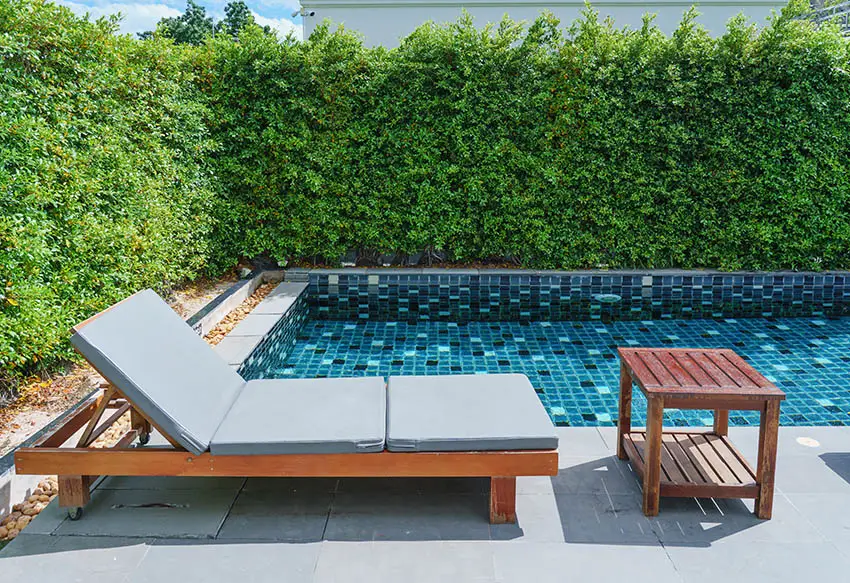 Backyard tile pool with privacy hedges