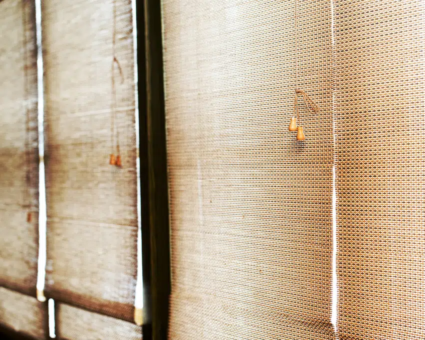 Bamboo shades
