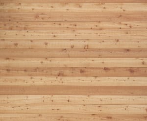 Cedar wood texture