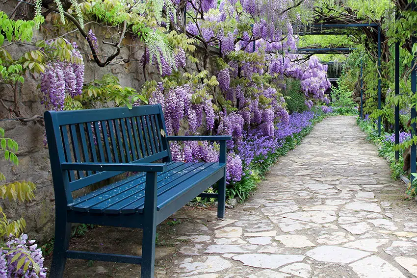 Dark blue bench on garden path