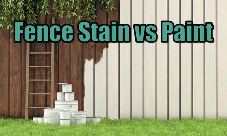 Fence Stain vs Paint (Pros and Cons & Design Guide)