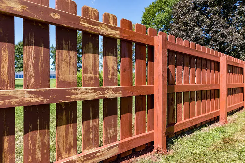 Painting old fence in yard