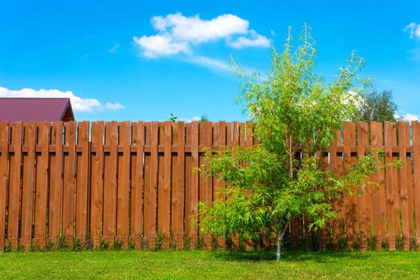 Fence Stain vs Paint (Pros and Cons & Design Guide)