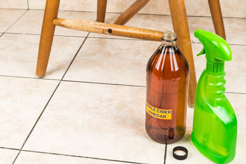 Keeping cats away with apple cider vinegar