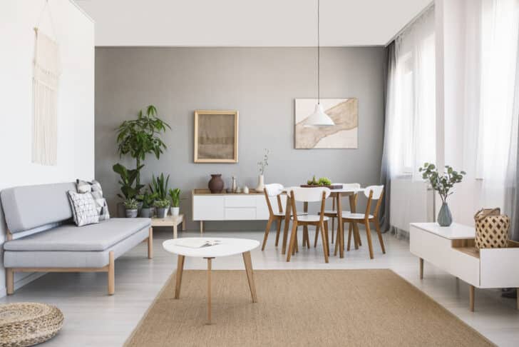 30 Ways To Divide A Combined Living and Dining Room