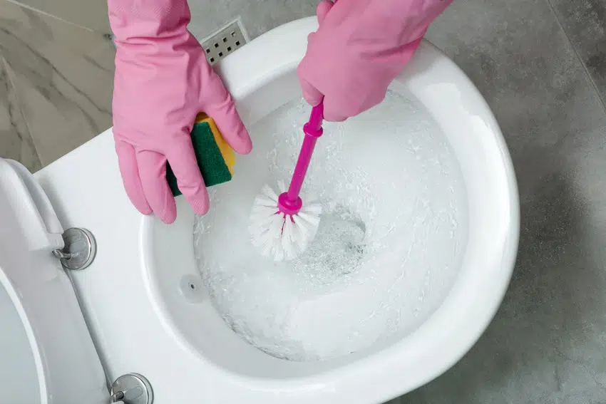 Cleaning toilet with sponge and brush