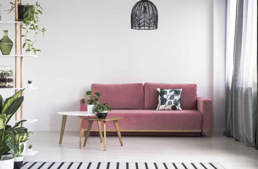 Cozy black and pink living room interior with decorative plants