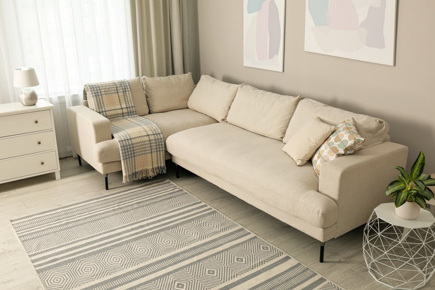 neutral themed living area corner with beige sofa decorative plant and coastal rug