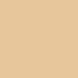creamy tan color swatch