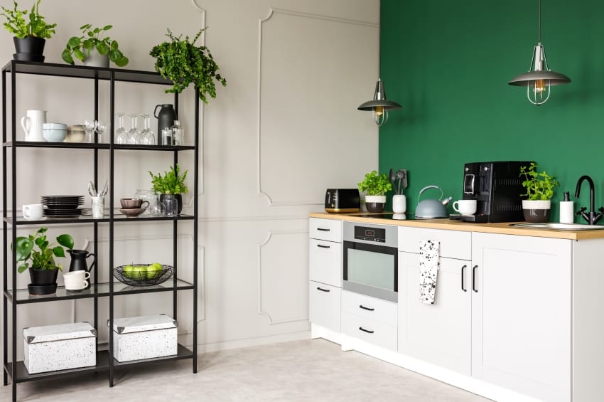 elegant grey and earthy green kitchen interior with plants hinging light and coffee maker