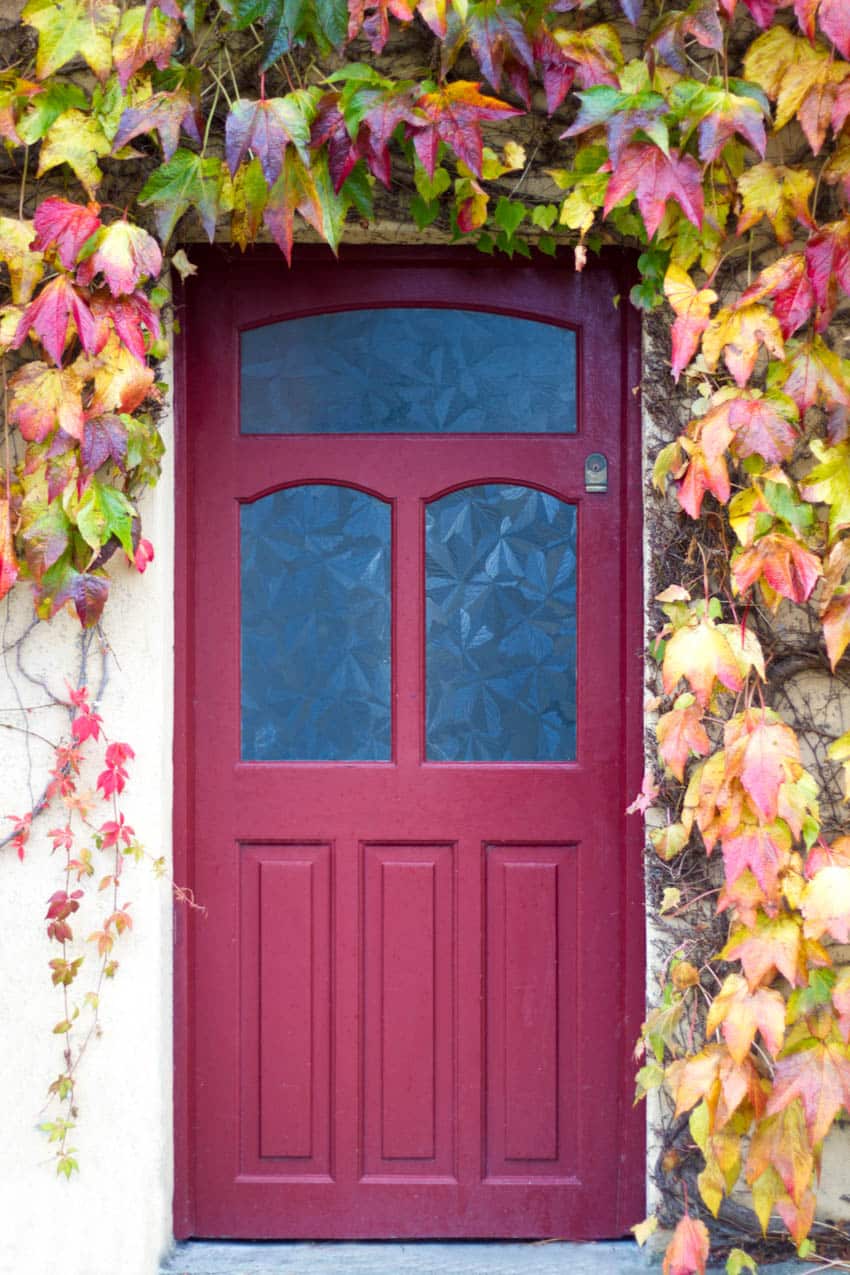 Glue chip glass red door with autumn leaves