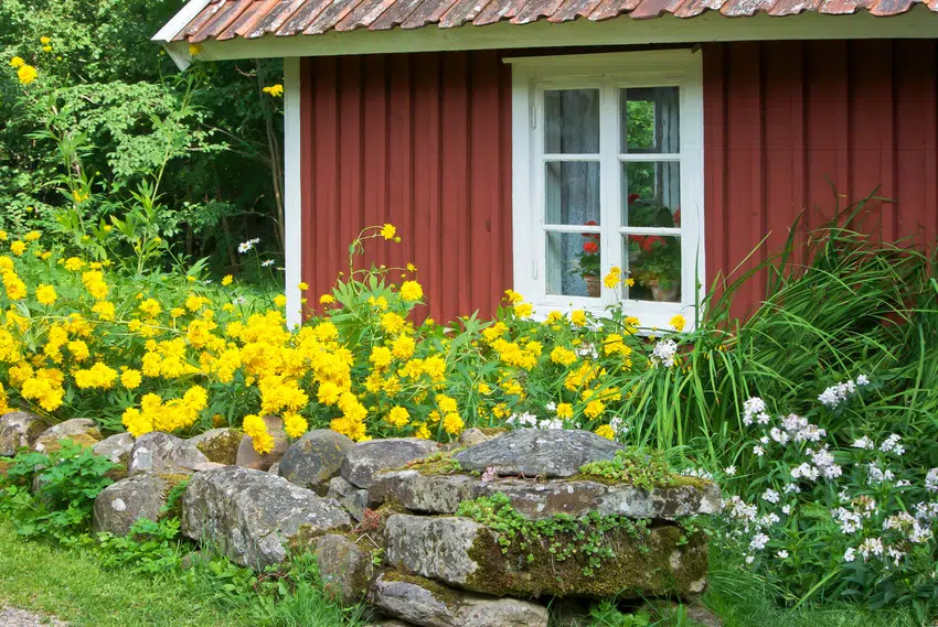 House with board and batten siding surrounded by flowers