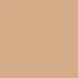Light brown color swatch