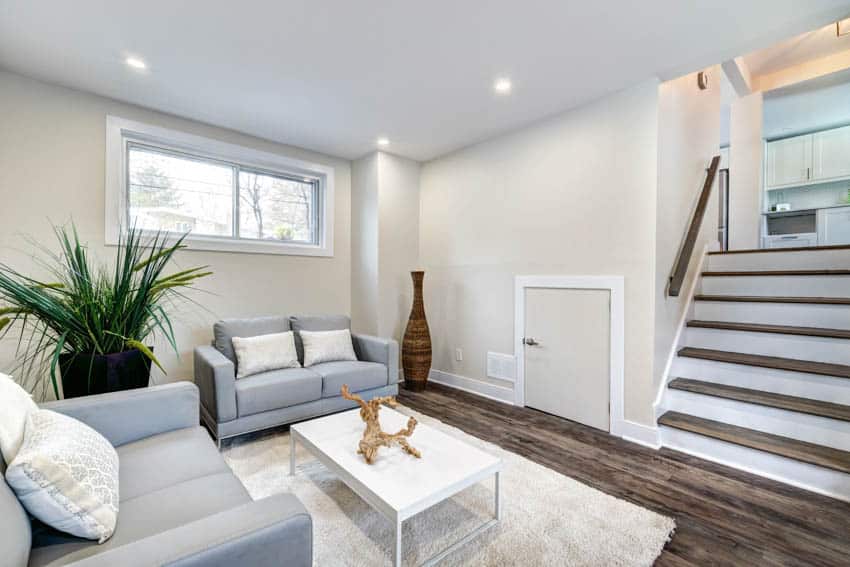 Living room in basement with indoor plant window and ceiling lights