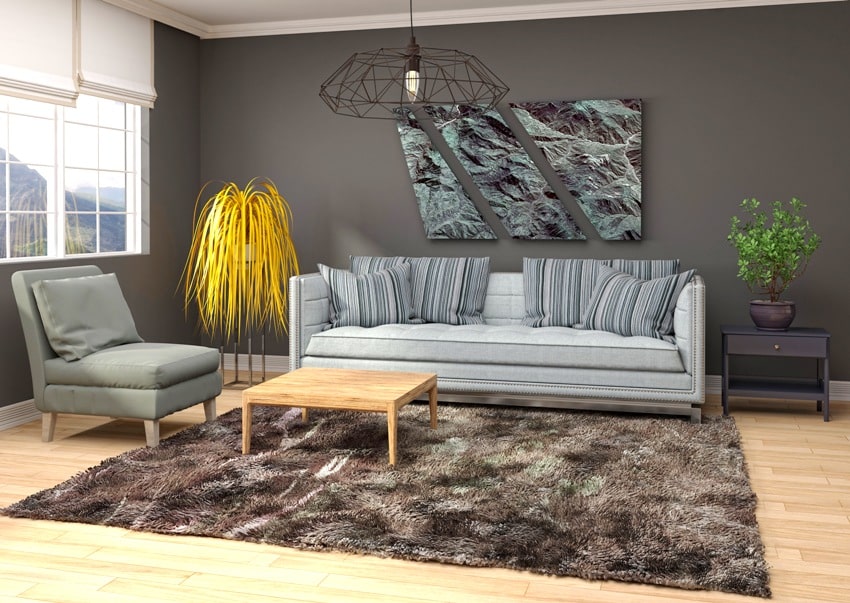 living room interior with gray walls dark brown capet on wooden floor and furniture