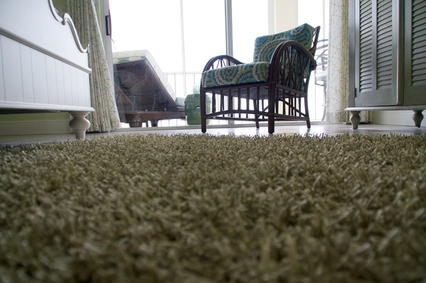 Low angle view of shag carpet on floor 