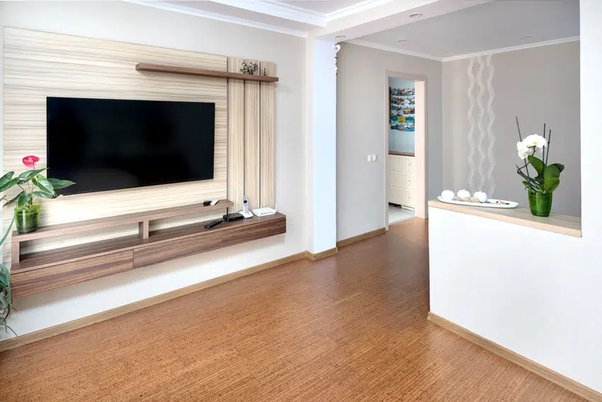 Modern apartment living room with large tv over wooden cabinet orchid cork floorboards and door to corridor