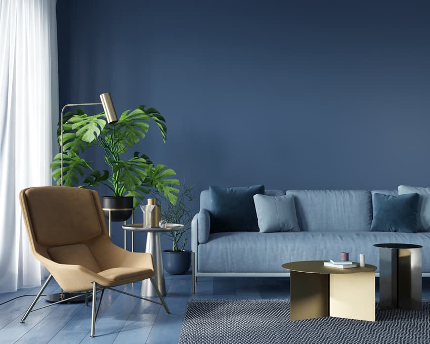 Modern living room with navy blue walls couch and decorative plant