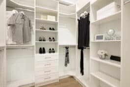 Mold in Closet (Causes, Removal & Prevention)