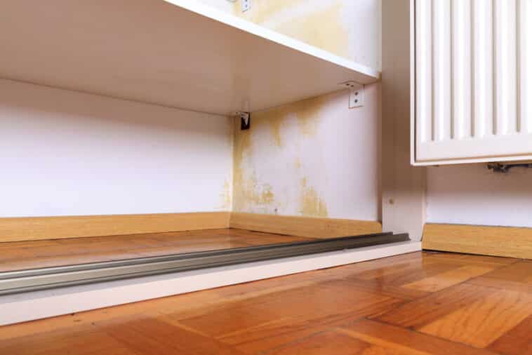 Mold in Closet (Causes, Removal & Prevention) - Designing Idea