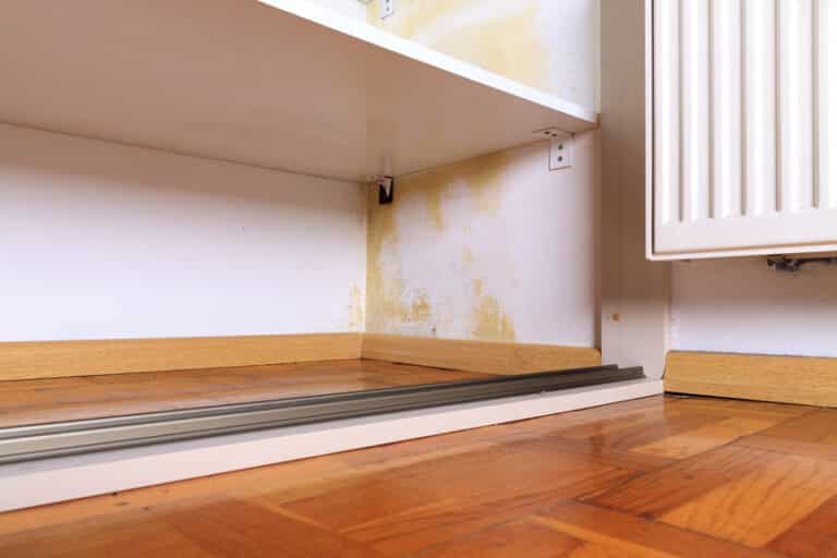 Mold in Closet (Causes, Removal & Prevention)