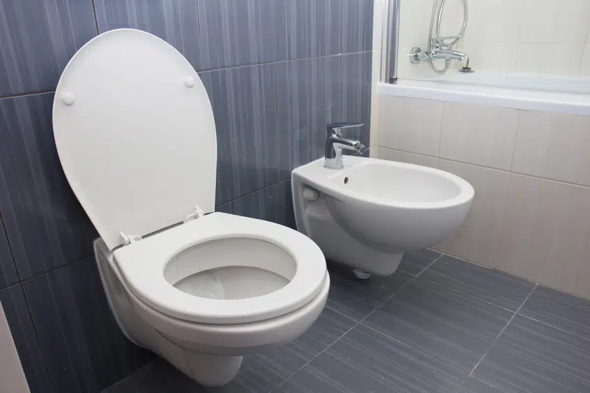 Round shaped toilet seat in modern luxury bathroom